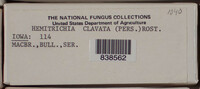 Image Associated With the Occurence